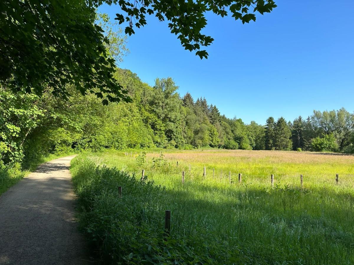 Apartment Nahe Naturschutzgebiet „Wurmtal“ Würselen Kültér fotó
